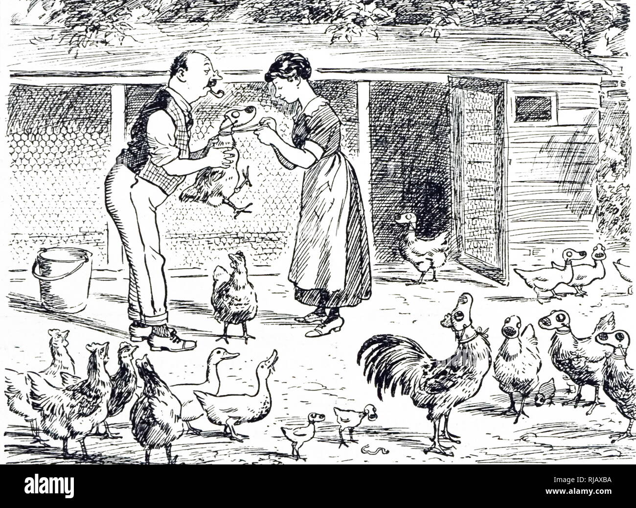 A cartoon depicting farmers putting gas masks on the hens to protect them from a gas attack. Dated 19th century Stock Photo