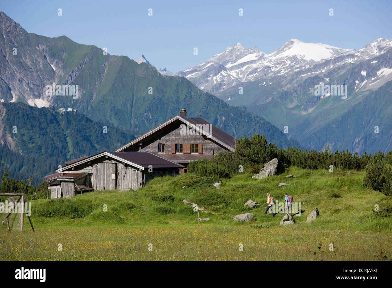 Wanderer beim Brandberger Kolmhaus, Zillertaler Alpen, Tirol, Österreich. Stock Photo