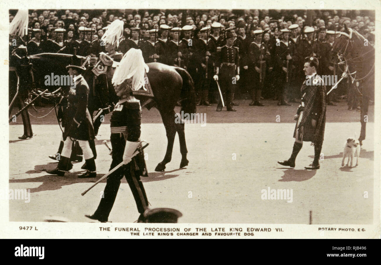The funeral procession of Edward VII, including his favourite dog Caesar. Stock Photo