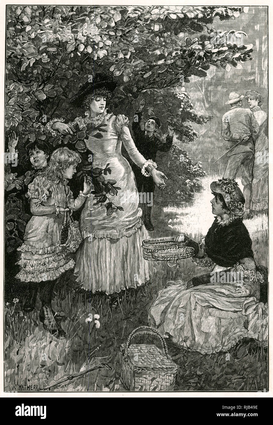 GATHERING NUTS (IN MAY Stock Photo Alamy