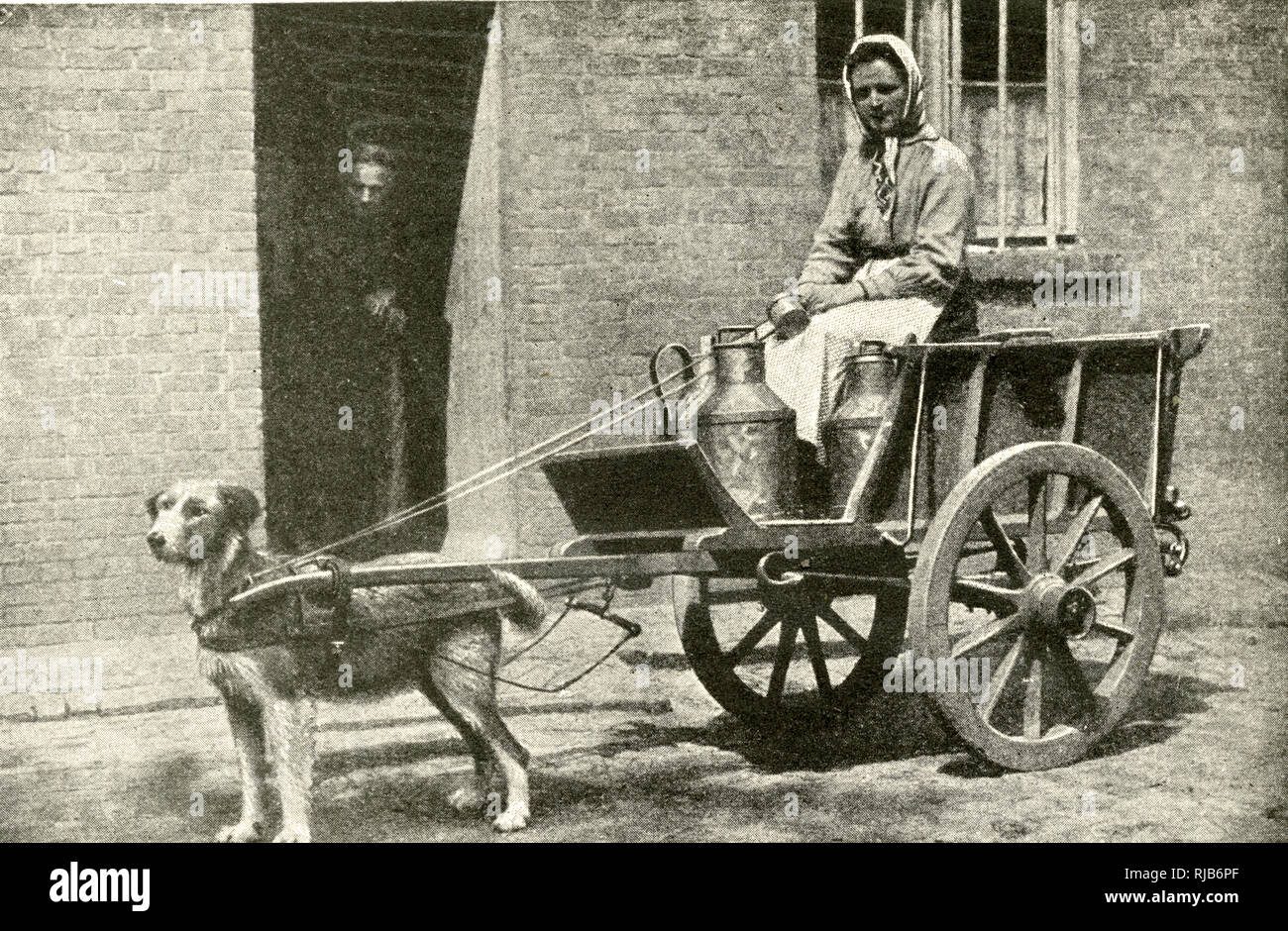 dog drawn carriage