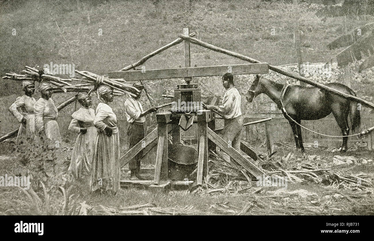 Native Cane Mill, Jamaica Stock Photo