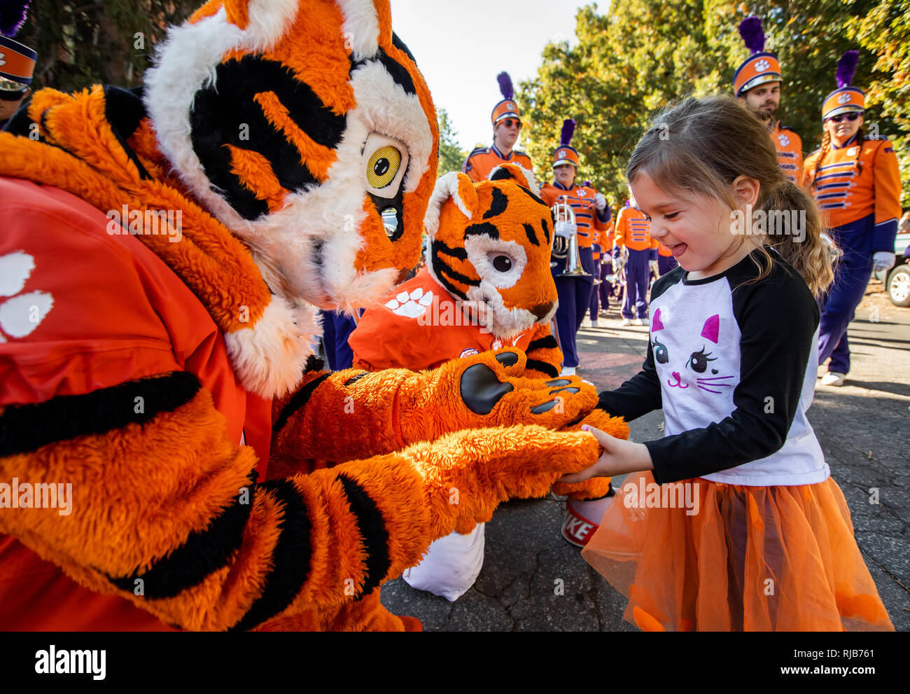 Clemson University mascot The Tiger and Cubby during football parade