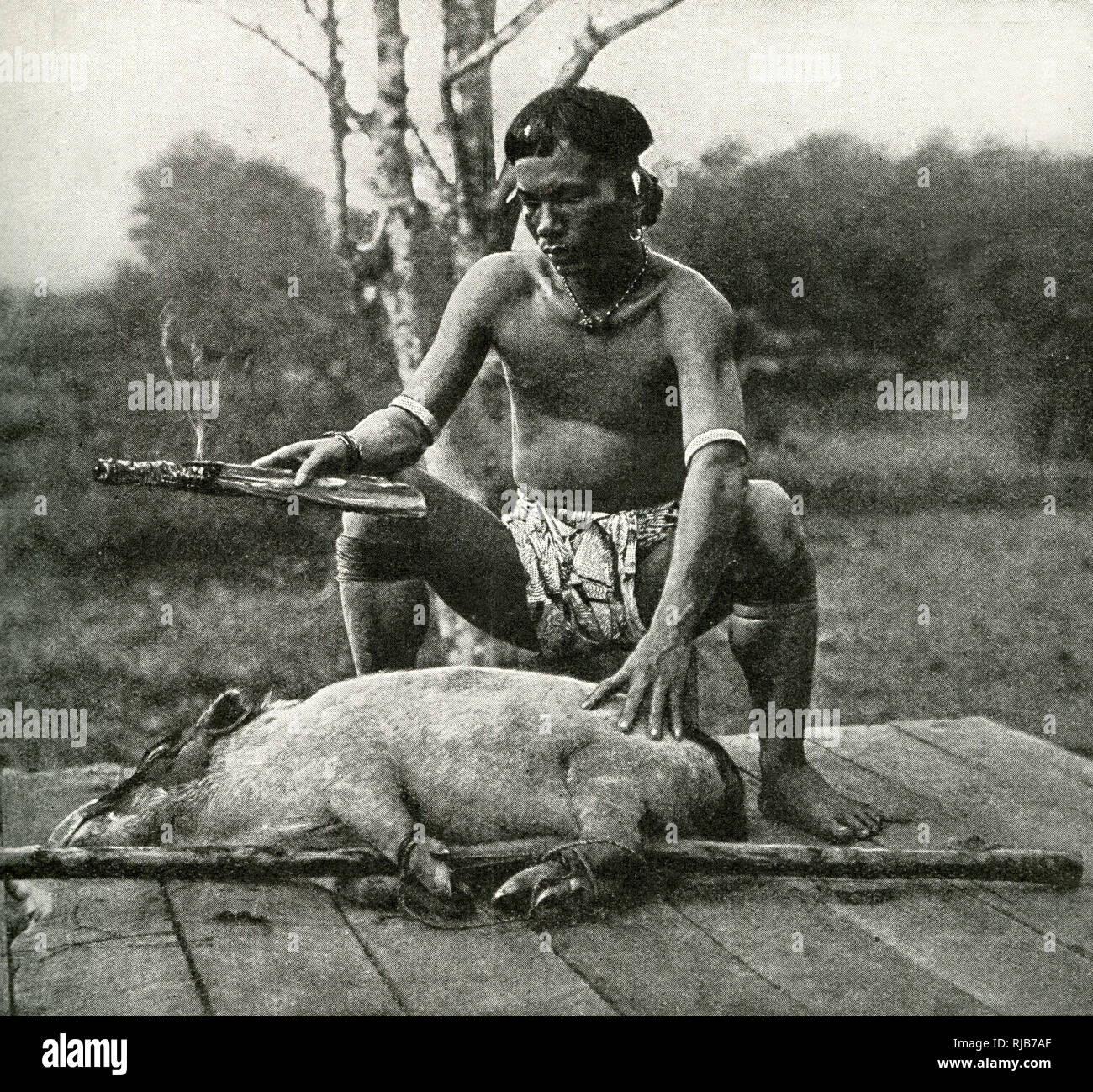 Kayan man killing a domestc pig, Borneo, SE Asia Stock Photo