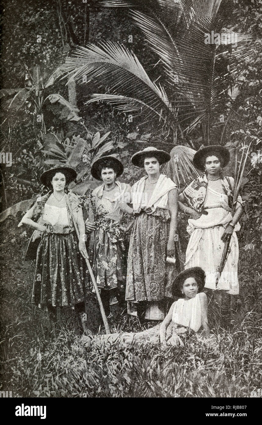 Mulatto women workers on a sugar plantation, Martinique, West Indies (then a French colony). Stock Photo