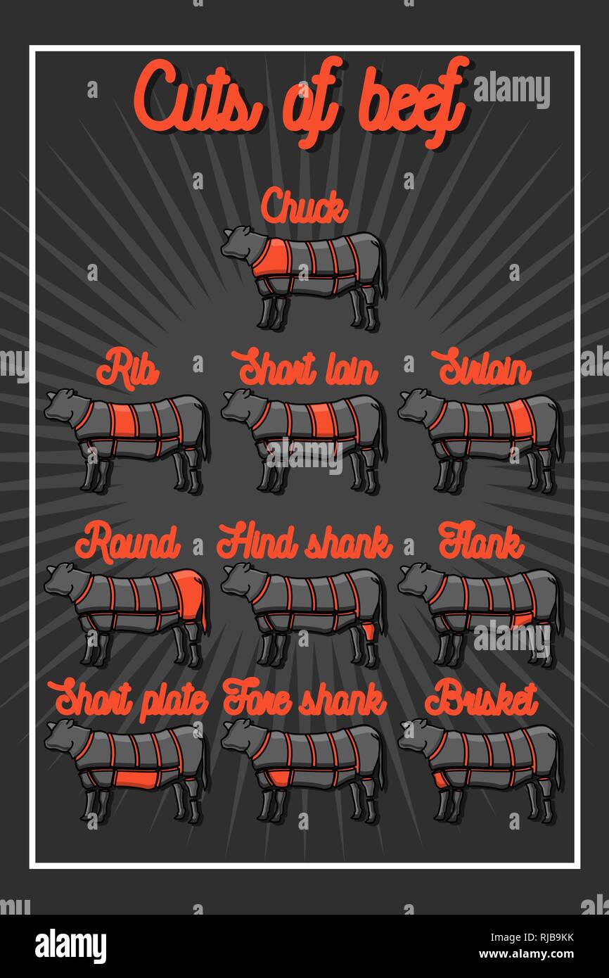 Cut Of Beef Set Poster Butcher Diagram Cow Vintage Typographic Hand Drawn Vector 