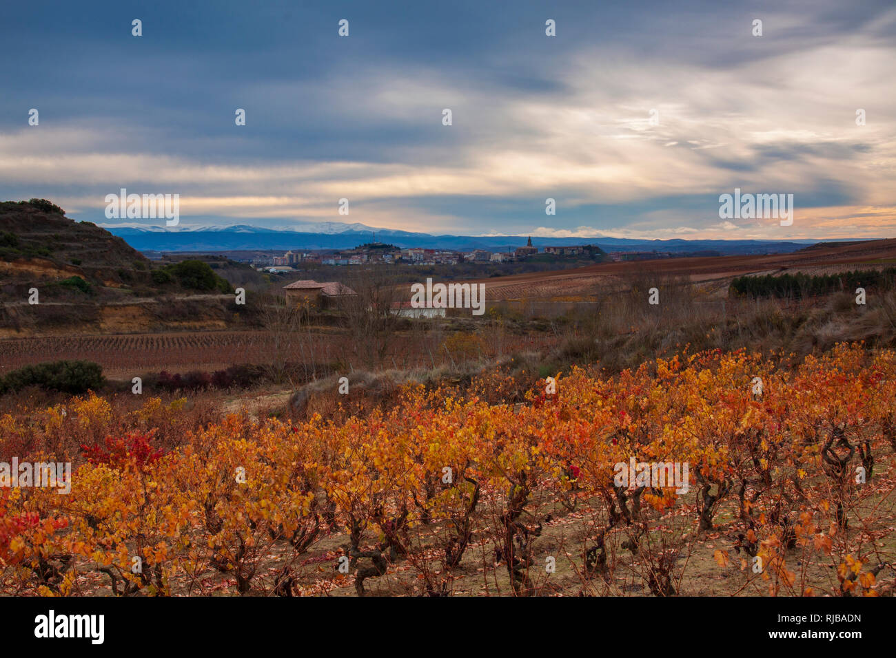 La Rioja vineyards and fields. La Rioja, Spain Stock Photo