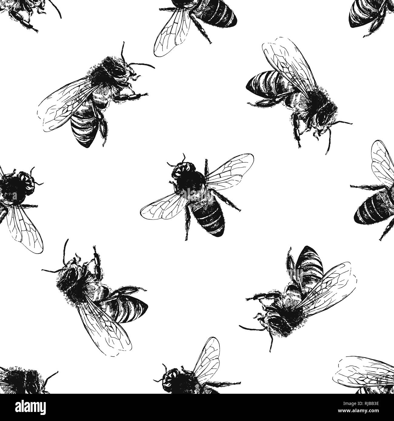 Seamless pattern of hand drawn sketch style bees isolated on white background. Vector illustration. Stock Vector
