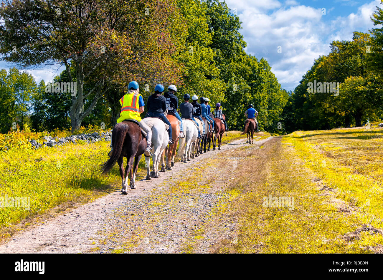 Teenagers riding horses hires stock photography and images Alamy