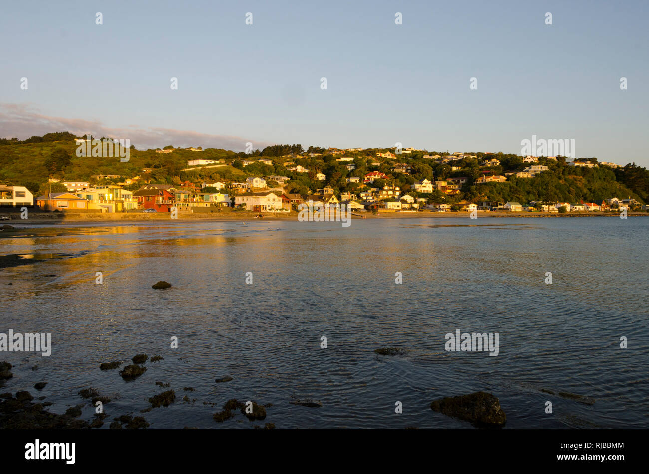 Houses on hillside by the sea, Plimmerton, Wellington, New Zealand