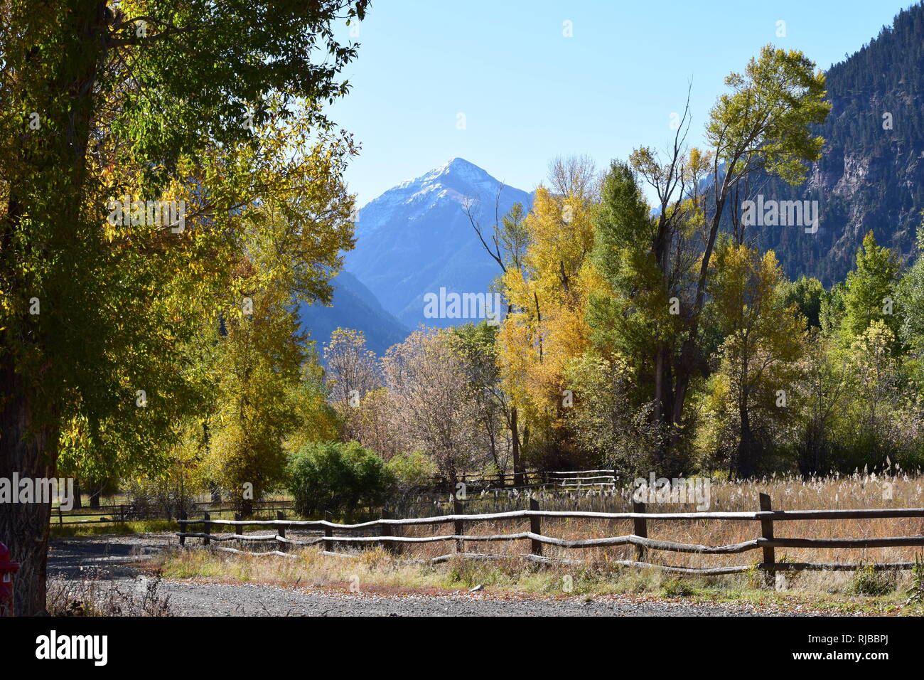 A rustic fence runs along in front of trees in fall colors while a ...