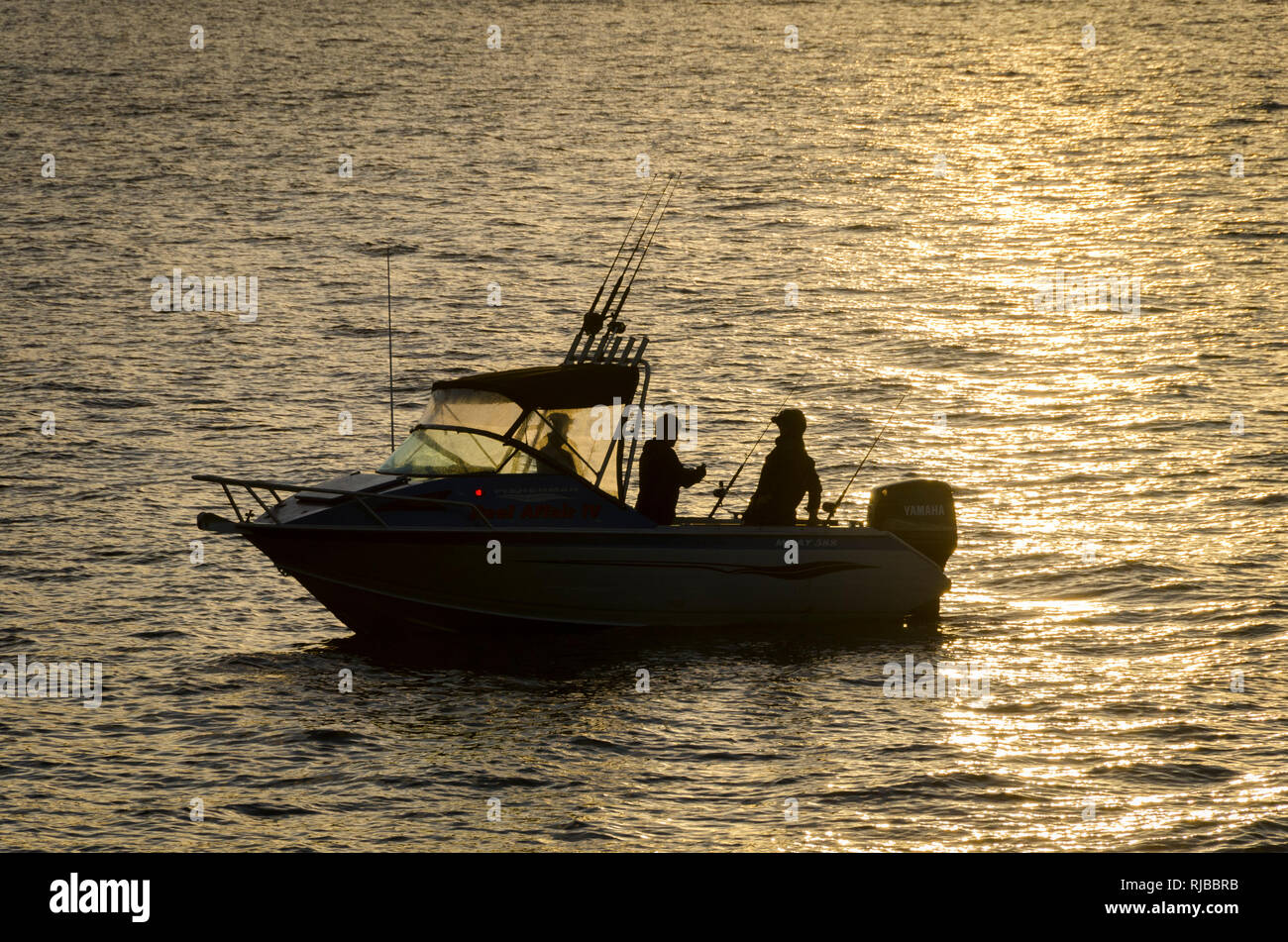 Fishing boat in new zealand hi-res stock photography and images - Alamy