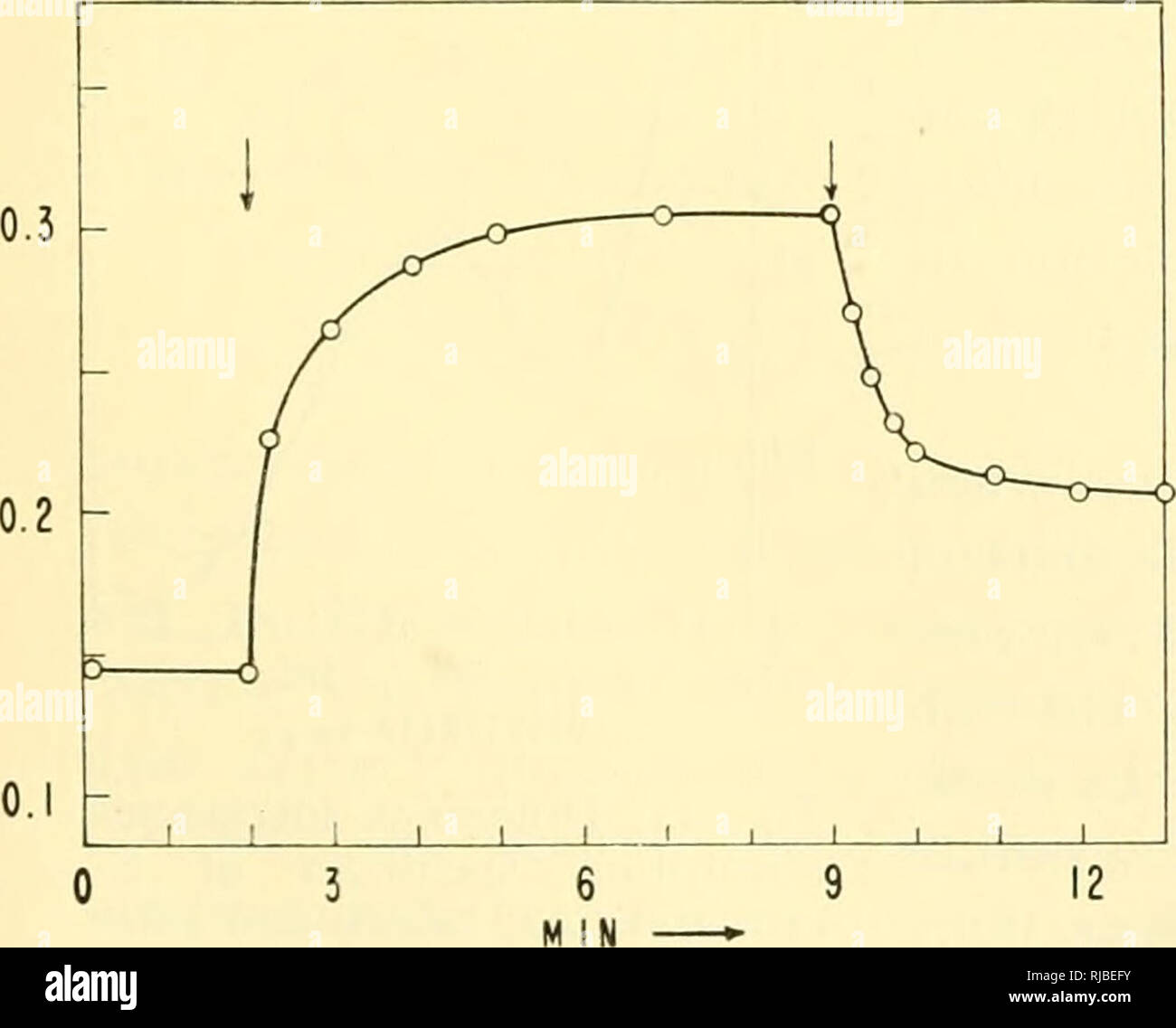 . Cell chemistry; a collection of papers dedicated to Otto Warburg on