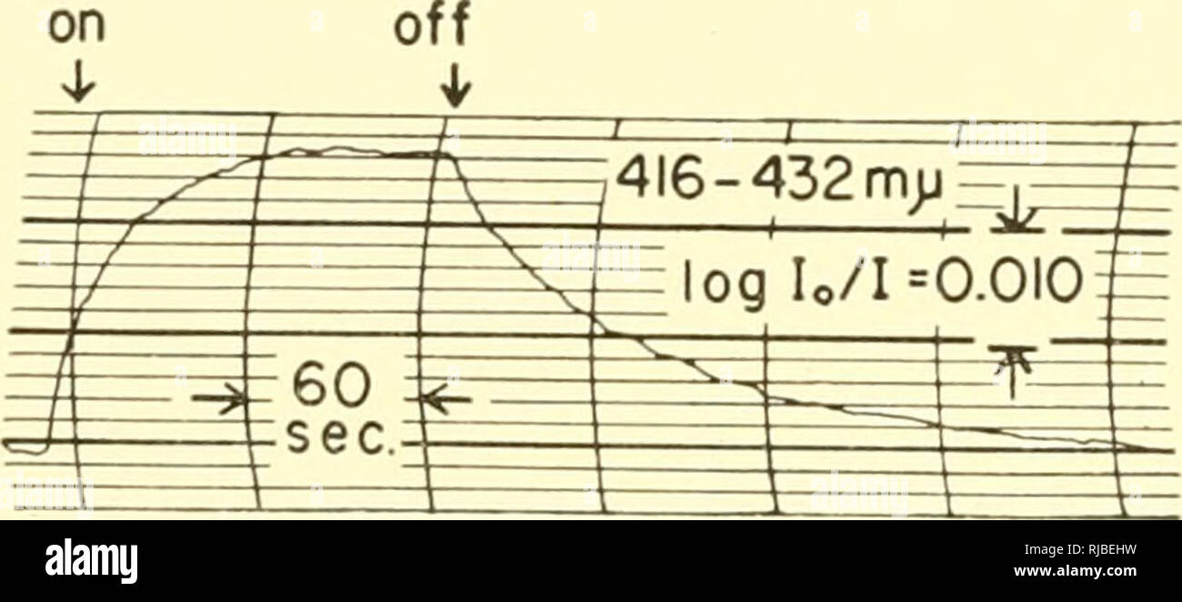 . Cell chemistry; a collection of papers dedicated to Otto Warburg on