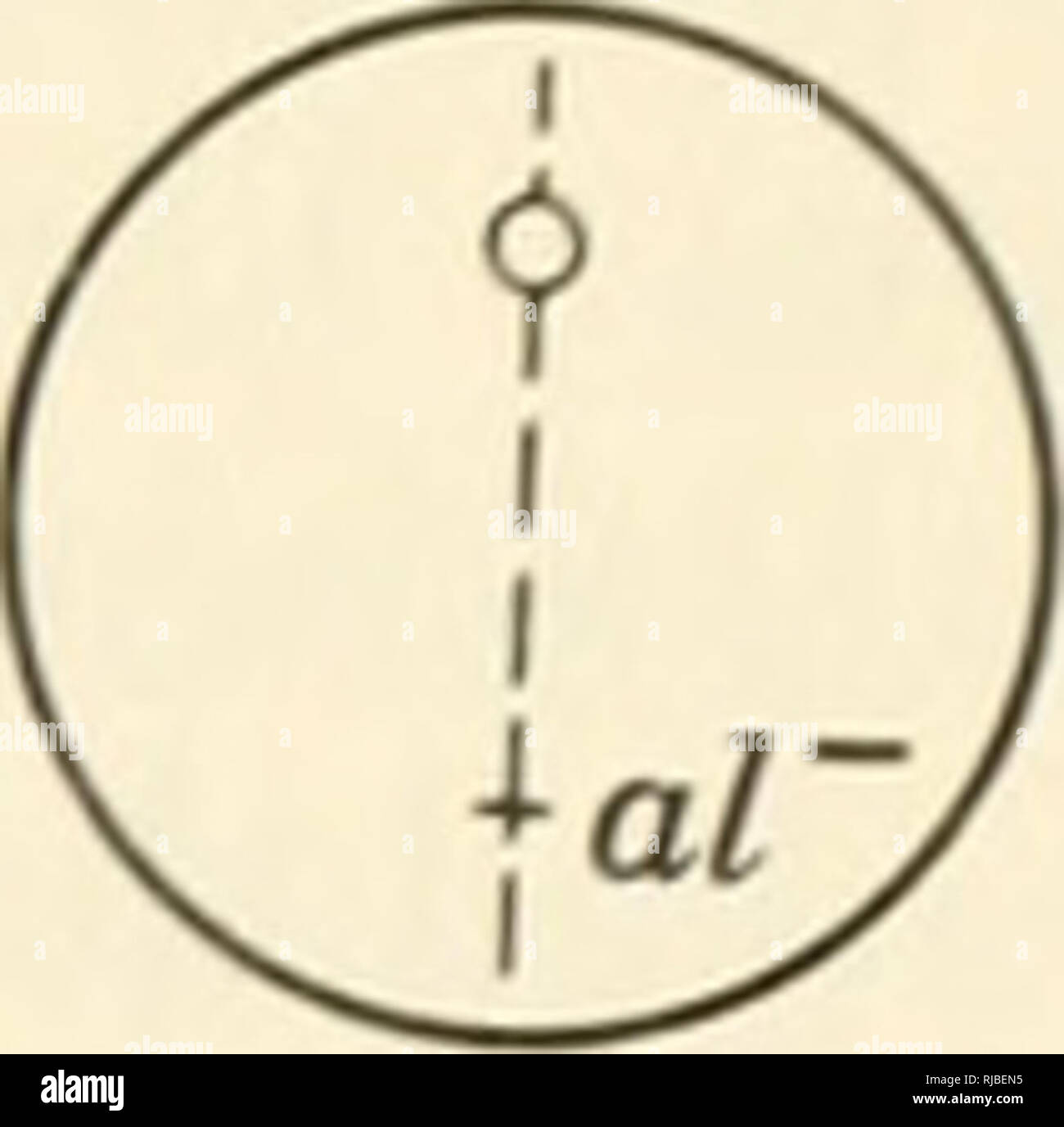 . Cell heredity. Telophase, new nuclei are formed at