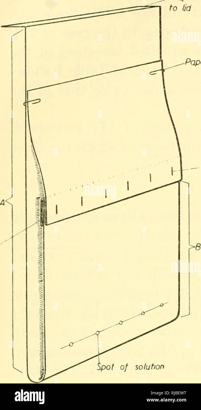 . Cell chemistry; a collection of papers dedicated to Otto Warburg on the occasion of his 70th