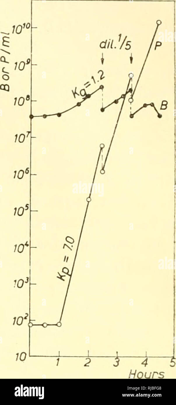 Cell chemistry; a collection of papers dedicated to Otto Warburg