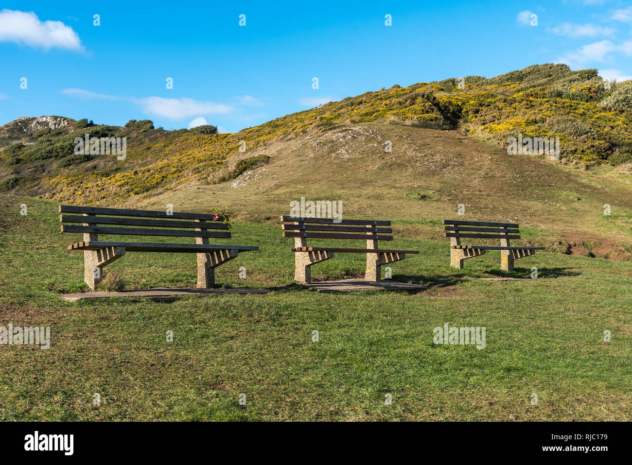 Three empty wooden benches in a row, positioned in front of a landscape of hills, with yellow flowers. Blue sky and clouds behind. With space for text. Stock Photo