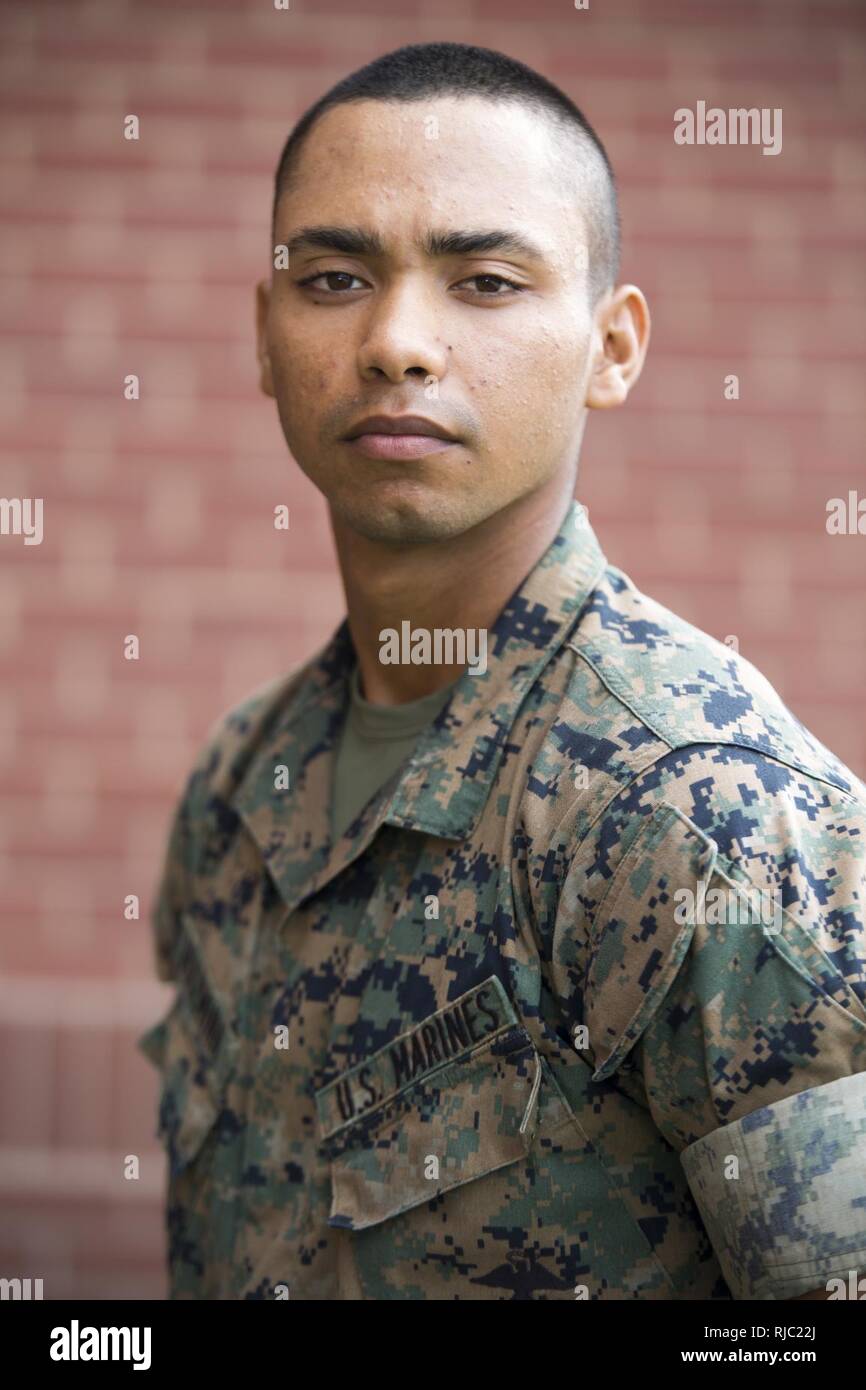 Pvt. Anderson I. Diamina, Platoon 2085, Hotel Company, 2nd Recruit Training Battalion, earned U.S. citizenship Nov. 3, 2016, on Parris Island, S.C. Before earning citizenship, applicants must demonstrate knowledge of the English language and American government, show good moral character and take the Oath of Allegiance to the U.S. Constitution. Diamina, from Atlanta, originally from Colombia, is scheduled to graduate Nov. 4, 2016. ( Stock Photo
