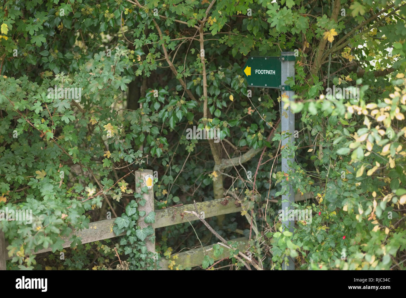 A footpath that has been blocked by overgrowth Stock Photo