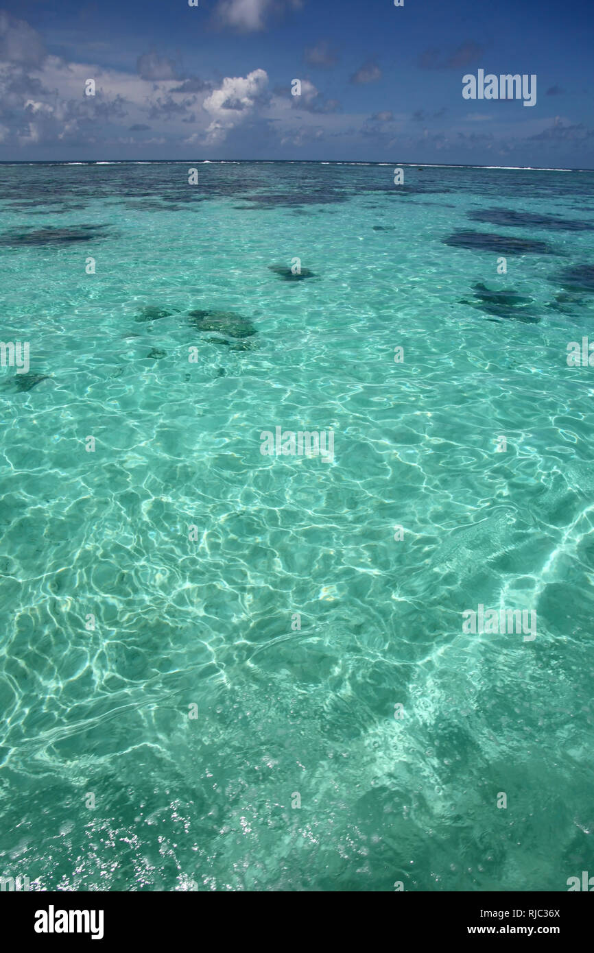 Tropical pacific ocean, clear turquoise water & beautiful blue sky, Tahiti. Stock Photo