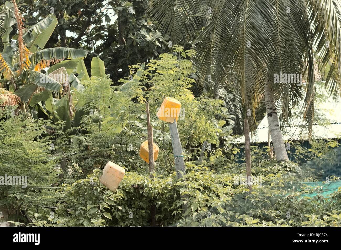 Yellow bins in the nature Environmental conservation (Ari Atoll