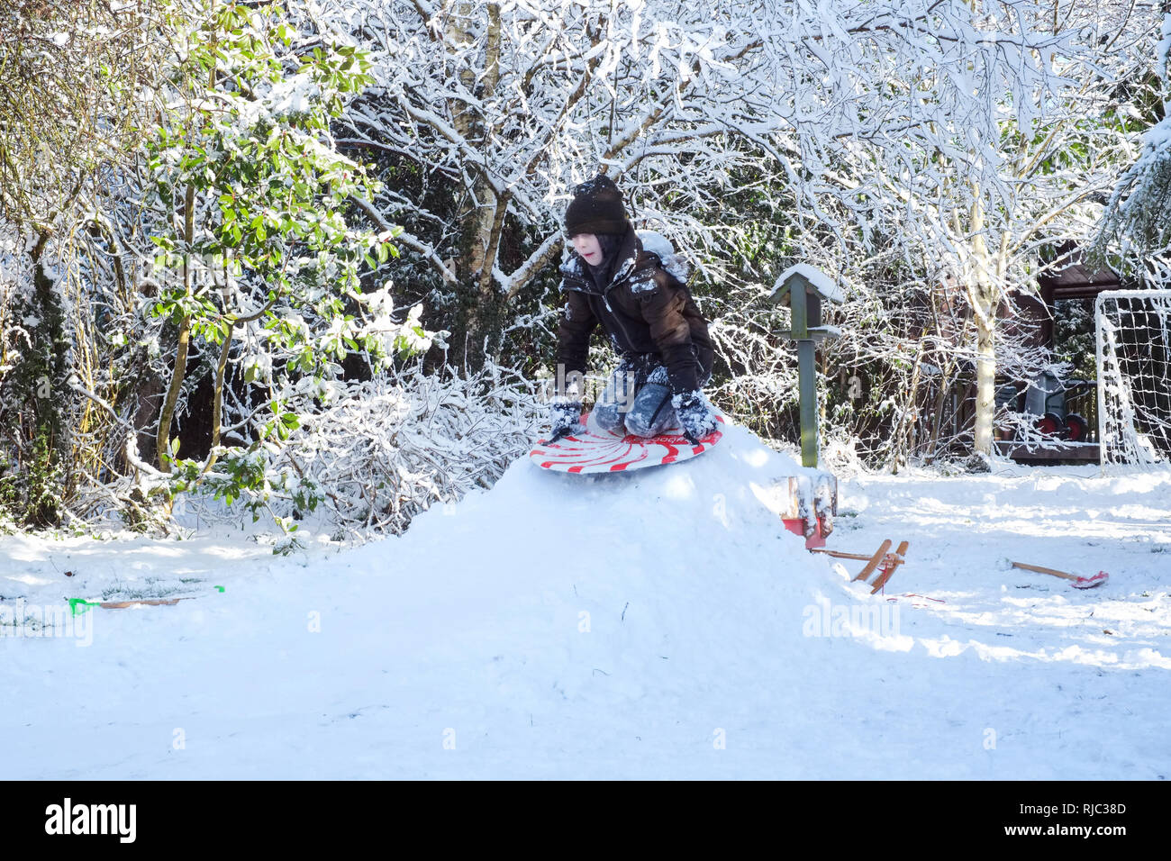 Nine year old boy sledging in the snow, Medstead, Alton, Hampshire, England ,United Kingdom. Stock Photo