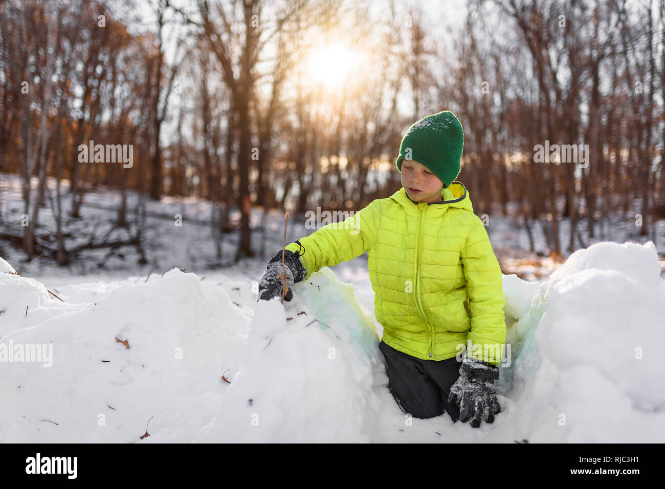 Boy building a snow fort, United States Stock Photo