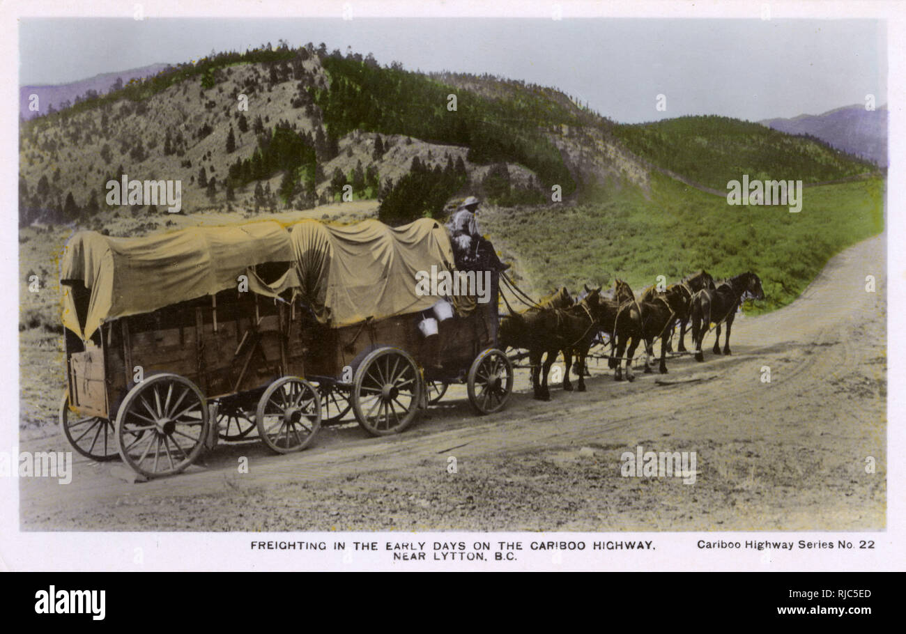 Horsedrawn freight wagons in the Early Days on the Cariboo Highway
