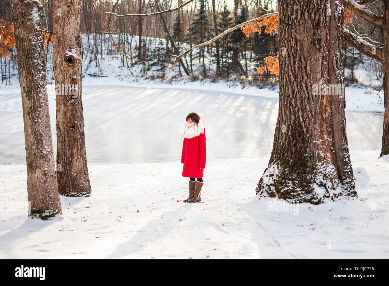 Winter frozen lake forest hi-res stock photography and images - Alamy