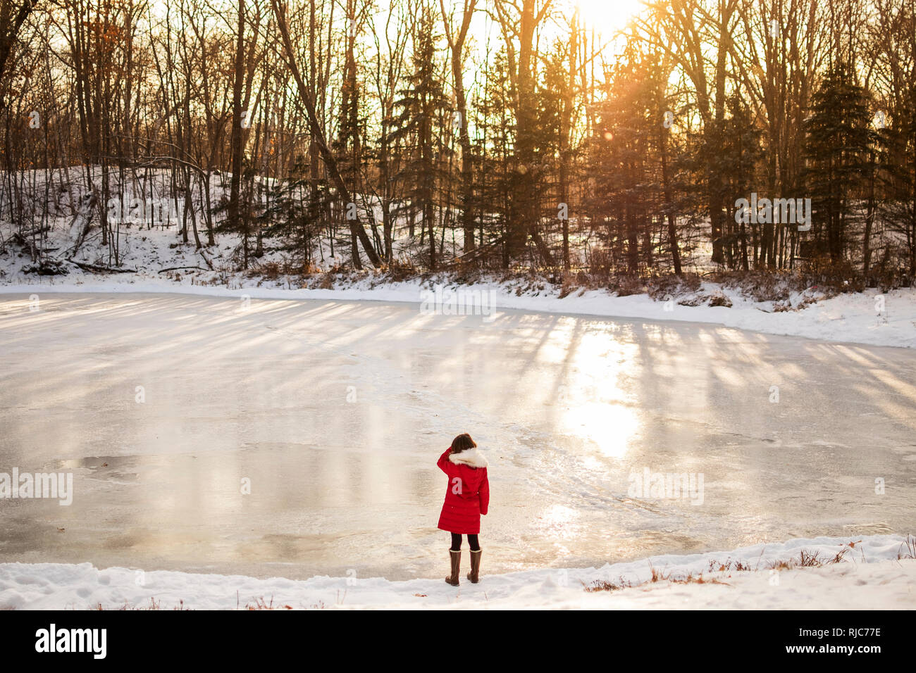 Frozen lake forest hi-res stock photography and images - Alamy