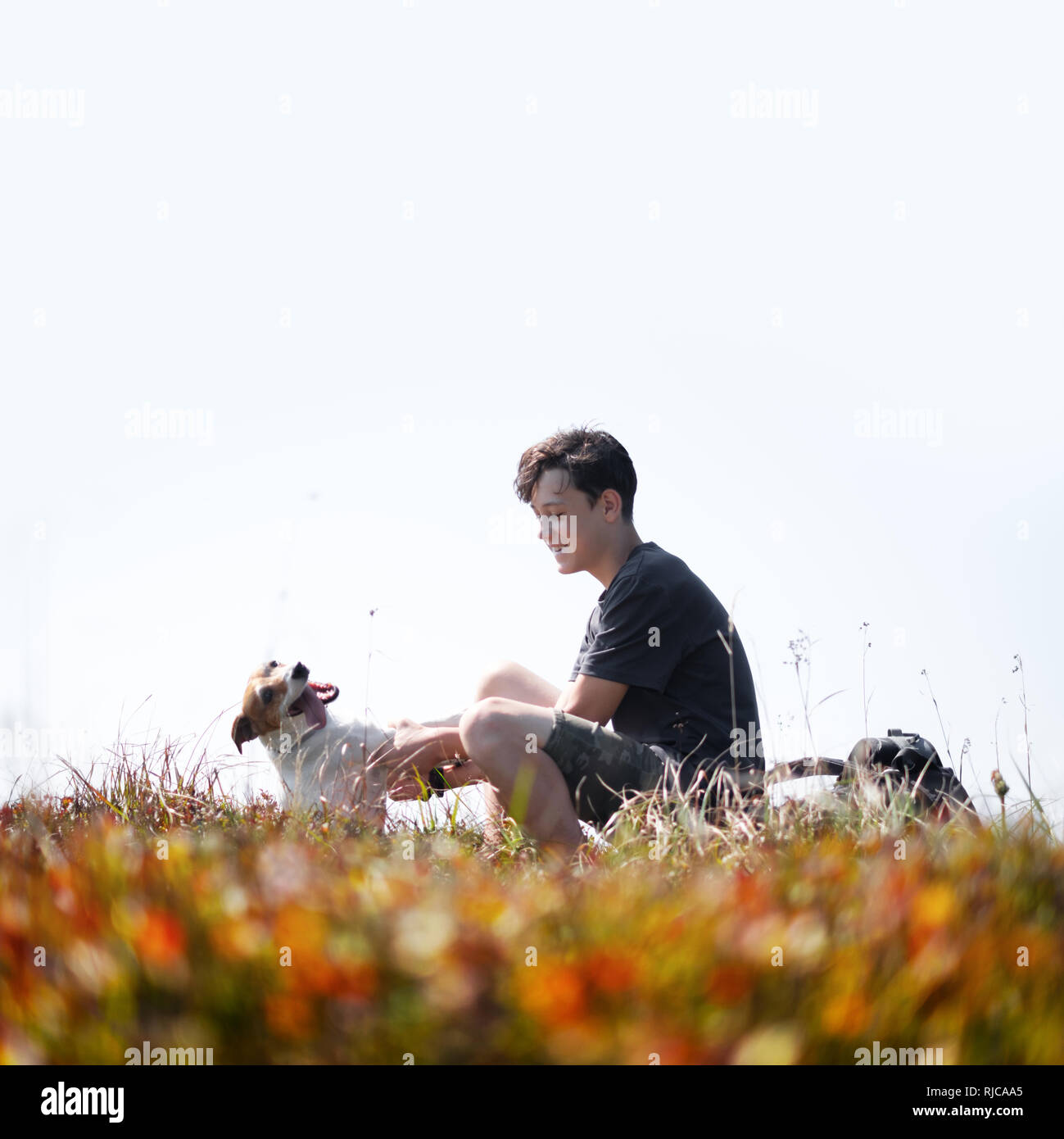 Teenager on autumn lawn with small white dog. Friendship and travel concept Stock Photo