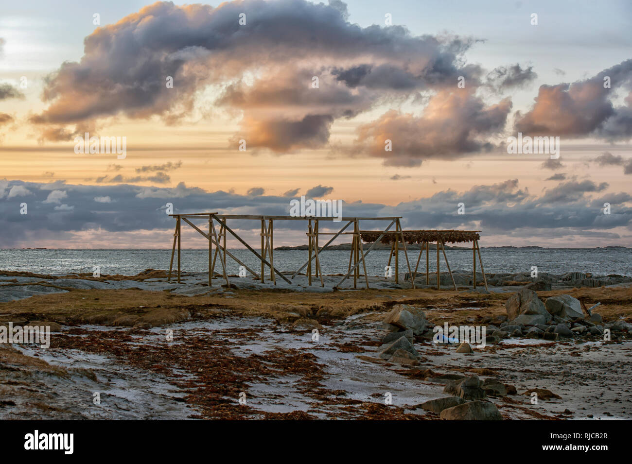 Fish drying racks on beach, Lofoten, Nordland, Norway Stock Photo Alamy