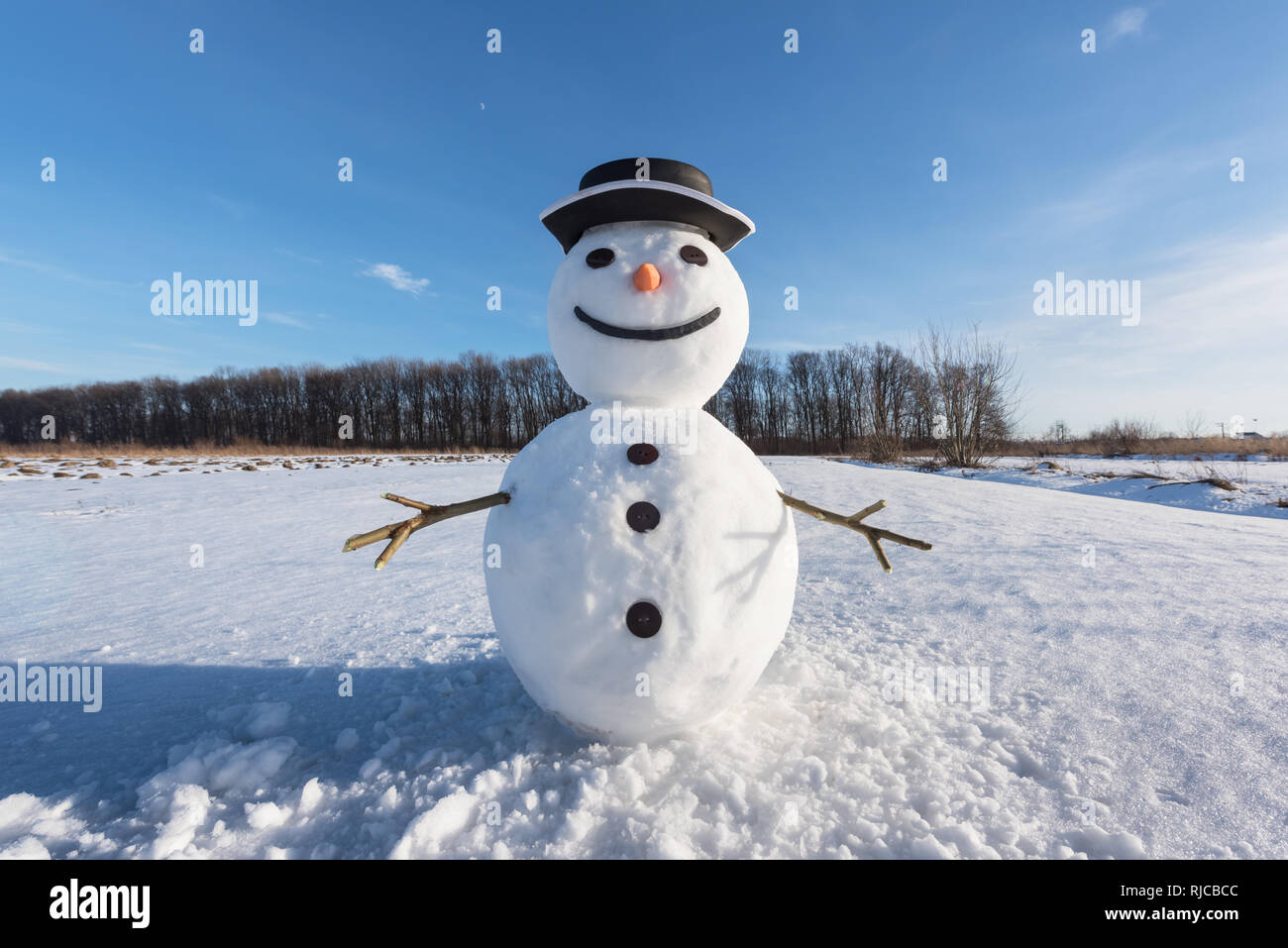 Funny snowman in black hat on snowy field. Christmass and New Year background Stock Photo