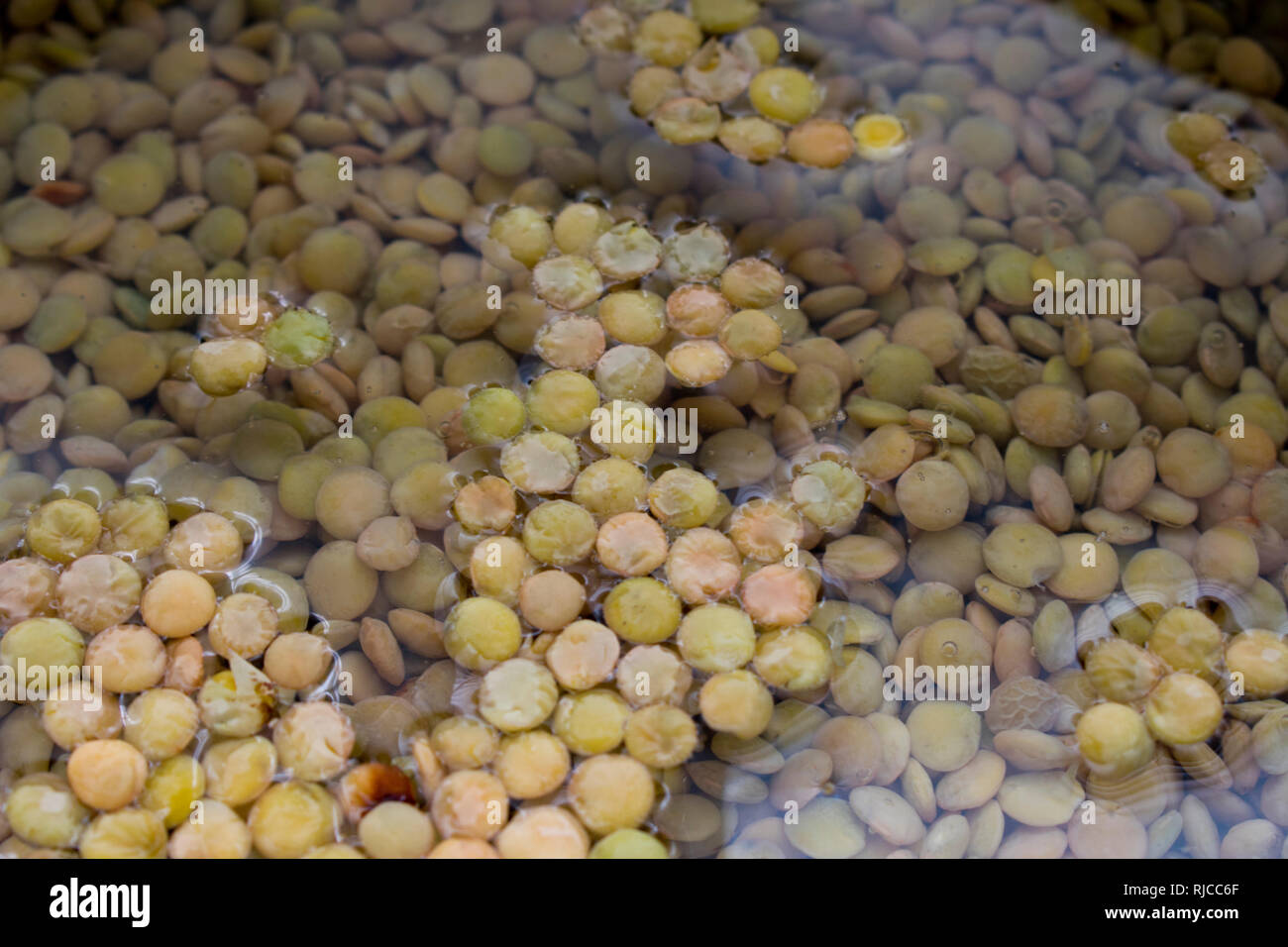 Water lentils hires stock photography and images Alamy