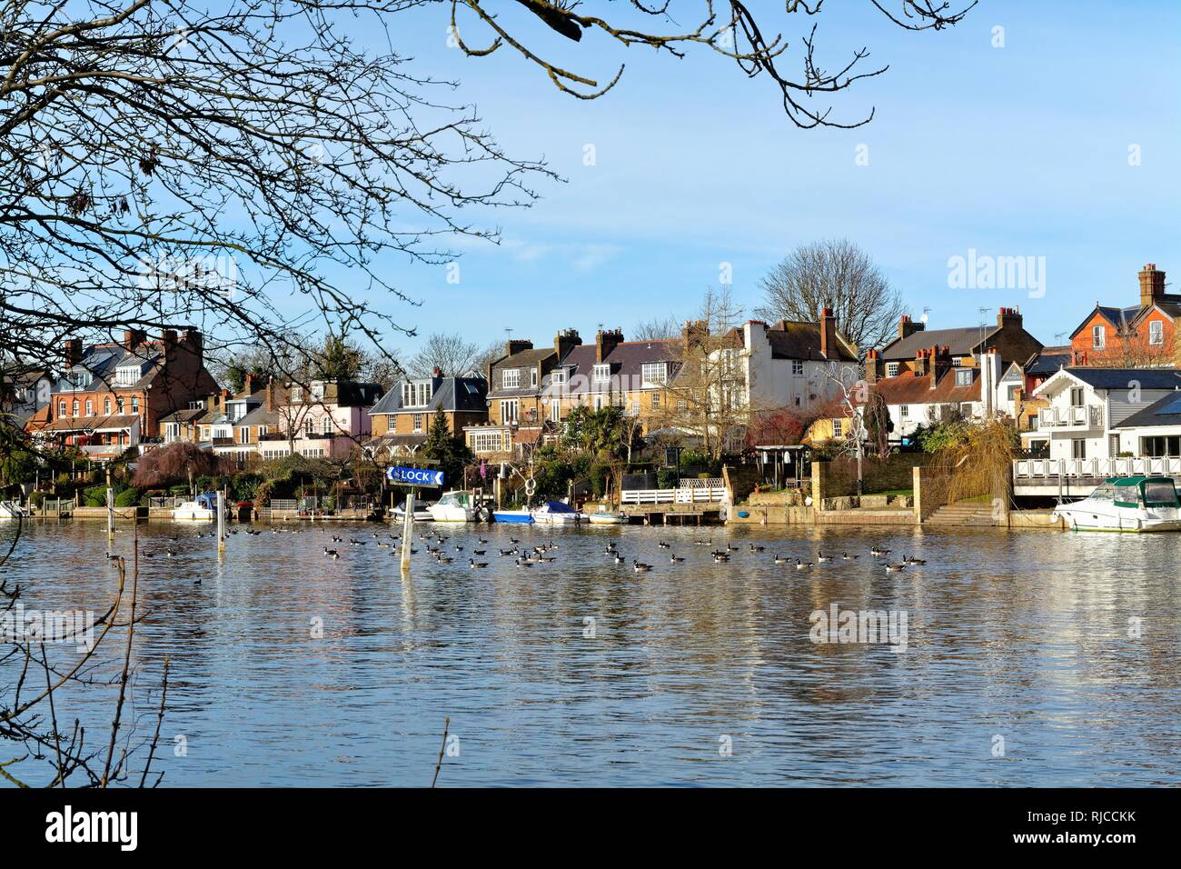 Private riverside houses on the River Thames at Lower Sunbury Surrey