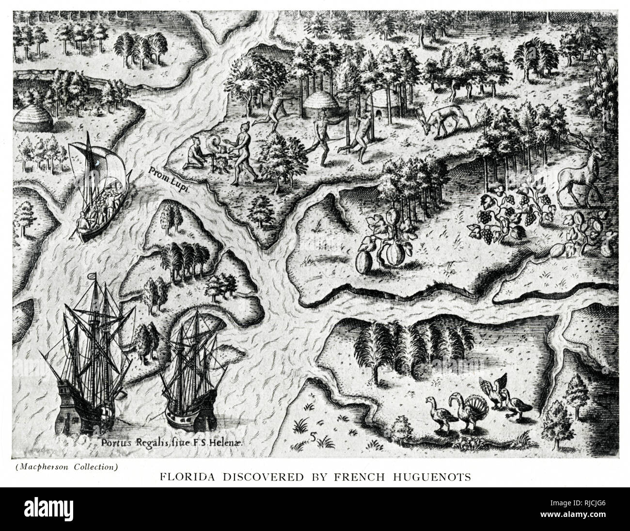 Florida Discovered by French Huguenots Stock Photo