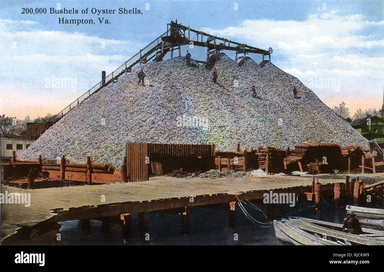 Bushels of oyster shells at Hampton, Virginia, USA Stock Photo Alamy