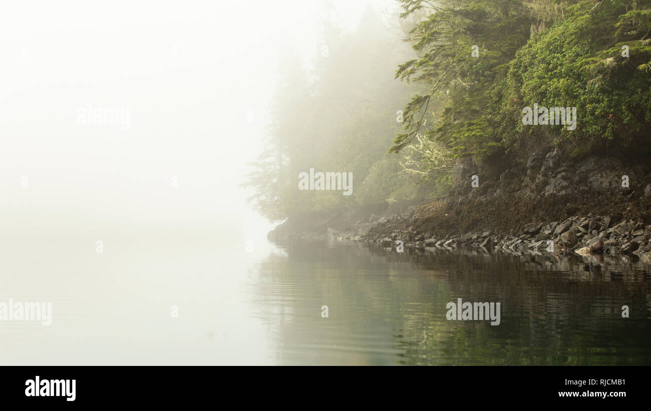 Kanada, British Columbia, Johnstone Strait, K√ºste im dichten Nebel Stock Photo