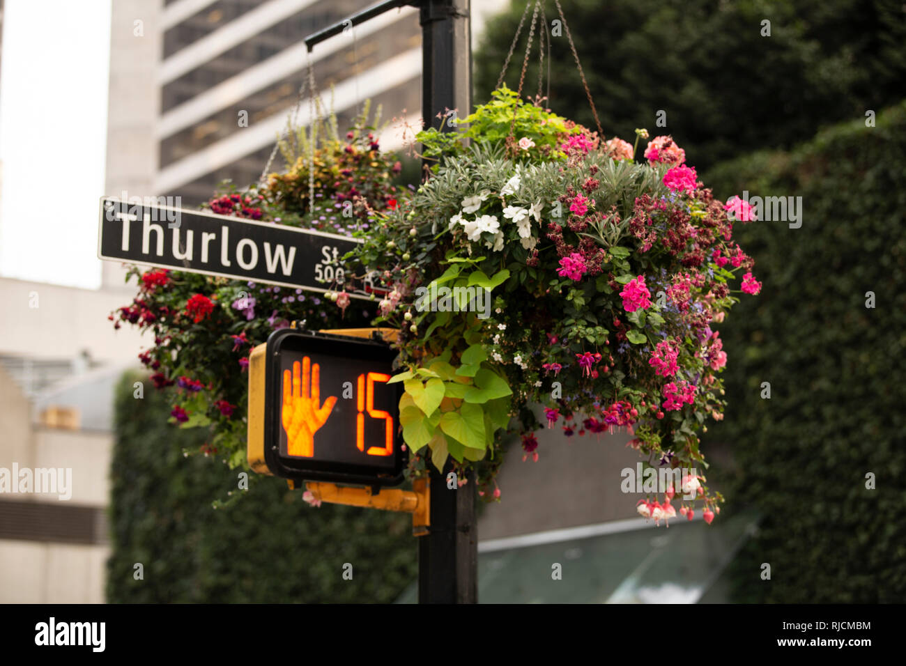 Kanada, British Columbia, Vancouver, Blumenschmuck an einer Stra√üe Stock Photo