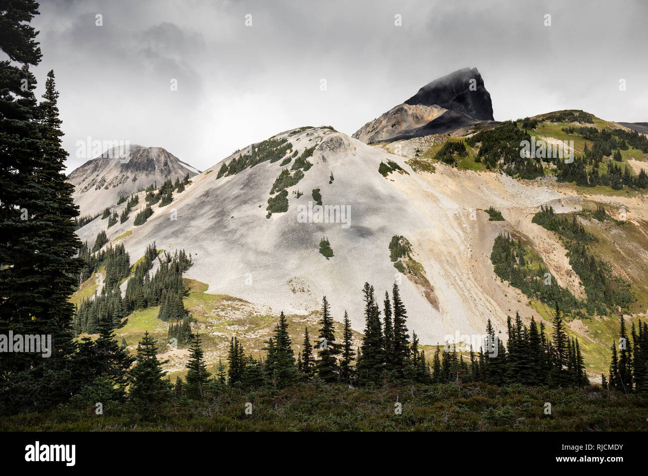 Kanada, British Columbia, Garibaldi Provincial Park, Panorama Ridge