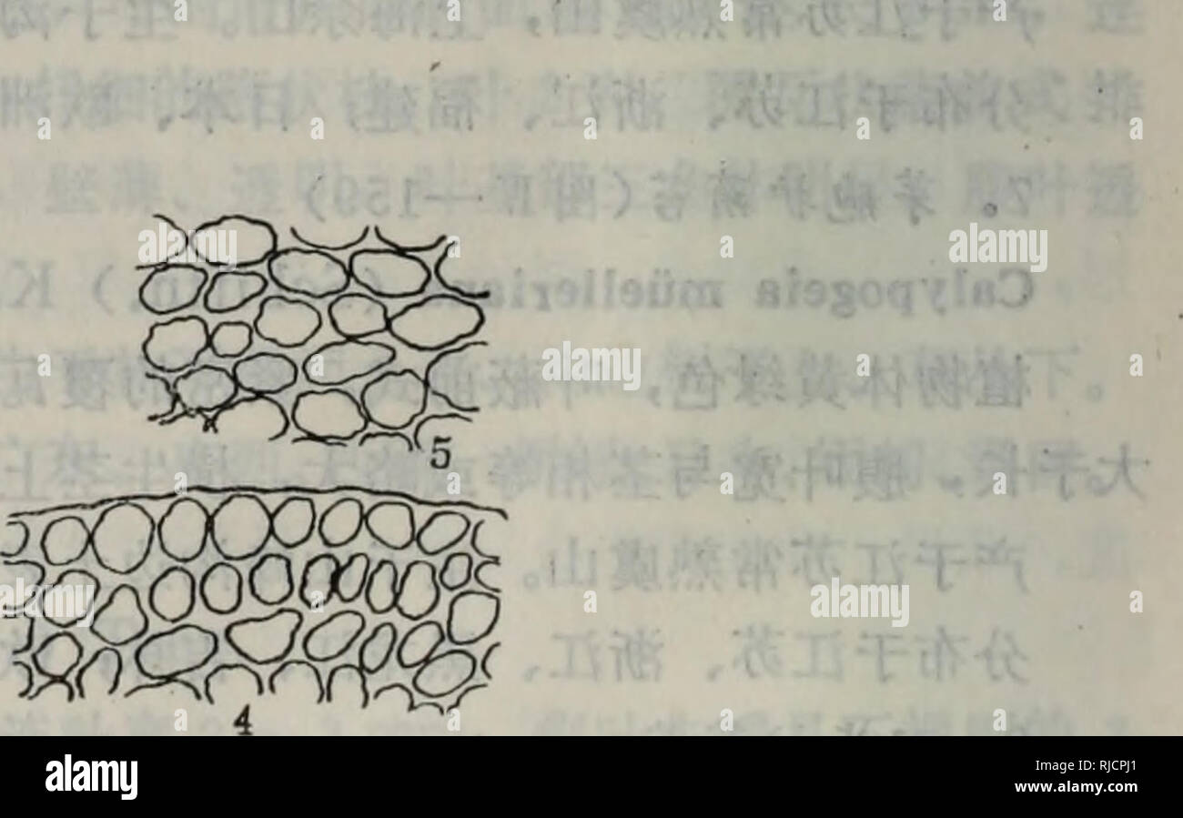 igloo 冰 桶 三 日 鮮