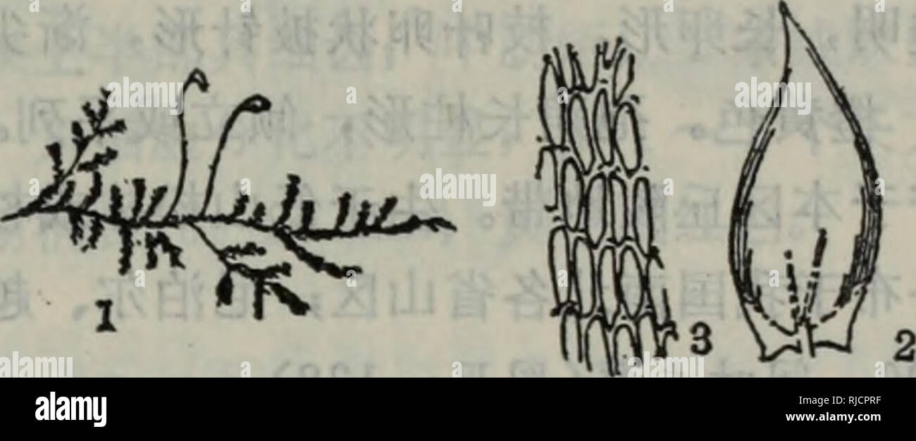 igloo 冰 桶 好 市 多