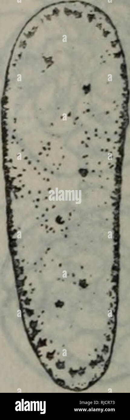 1 A12 High Resolution Stock Photography And Images Alamy