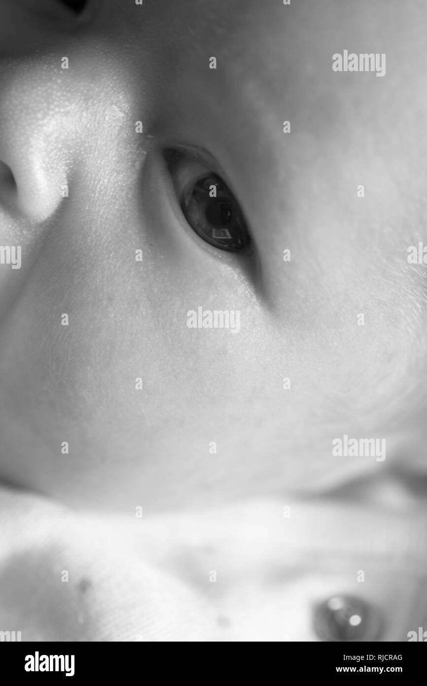 Baby awake. close up of new born baby. infant Stock Photo