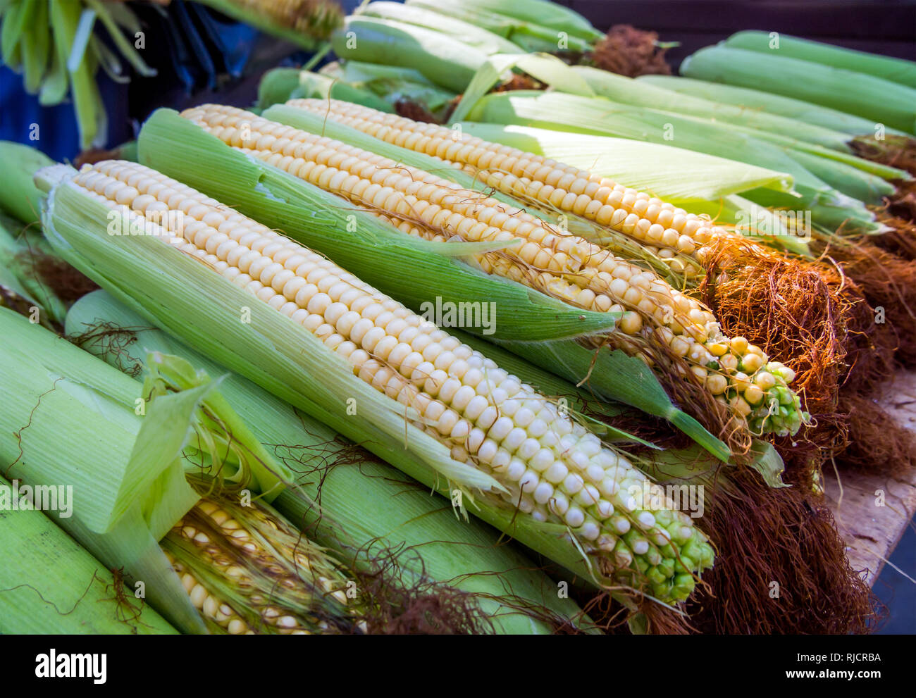 Corn cobs are sold in the vegetable market Stock Photo