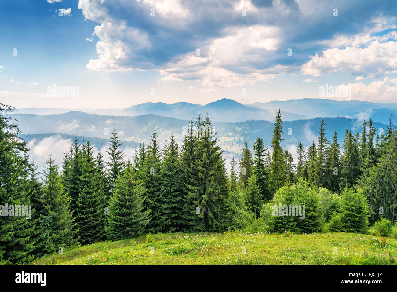 Scenic Landscape In The Landmark Ceahlau Massif Carpathian Mountain scenic-landscape-in-the-landmark-ceahlau-massif-carpathian-mountain