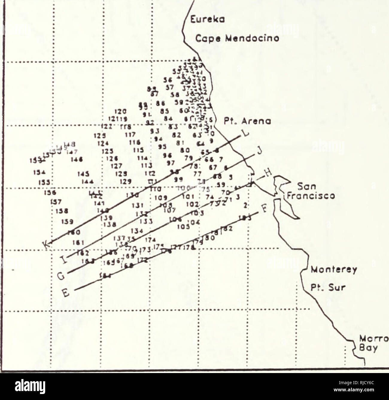 . Changes in the California current system observed off northern California during July-August 1986. Oceanography; Oceanography Pacific Coast (Calif); Ocean currents Pacific Ocean; Measurement; Upwelling (Oceanography). 41N 39N 37N 35N Eureka Cope Mendocino. 123W 126W 124.W 122W 120W Figure 3.30 OPTOMA 22 stations and the vertical cross sections (from Ciandro et al, 1986). 58. Please note that these images are extracted from scanned page images that may have been digitally enhanced for readability - coloration and appearance of these illustrations may not perfectly resemble the original work.. Stock Photo