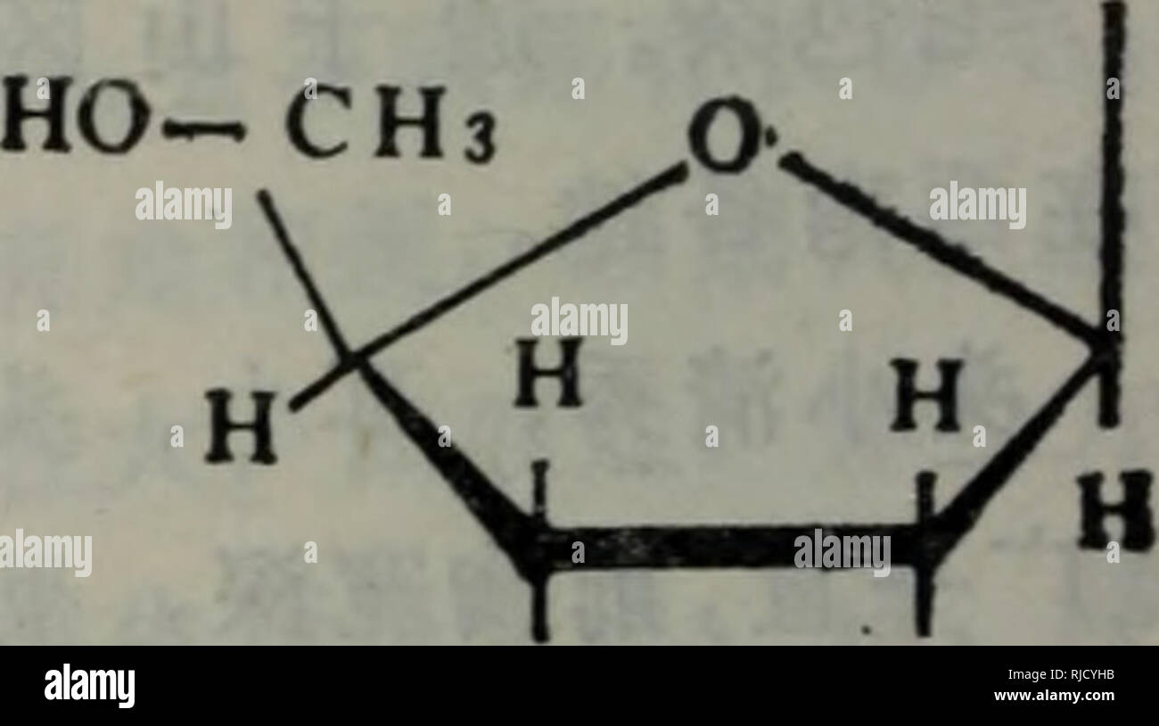 Chang Yong Sheng Wu Ke Ji Ci Dian Botany Cc C Aa Acc C C C Ca E A C Aeeª Aeae Aac C Cn H20 N Ac Quot C Quot I Ae C Quot E Quot Aa E Aºeae A C Aºe A Aa A Cc Ec C Aaeaº E Cc C Cae C Aa Aa A A C A Ae Aae Cae A A A A Caeae C Ae C Aecaac C Aae Ae A C Aea Aa