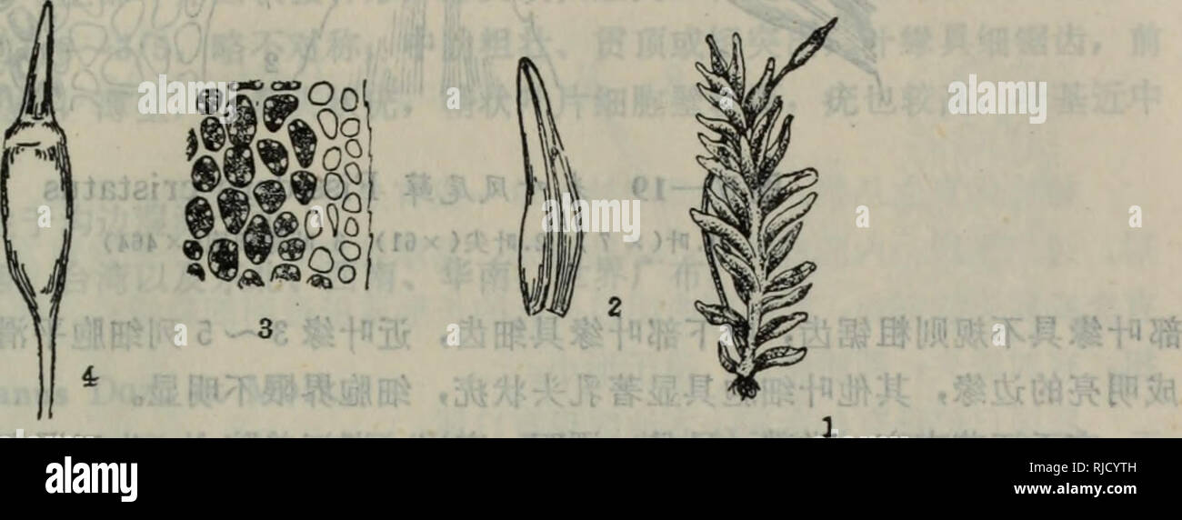 好 市 多 igloo 冰 桶